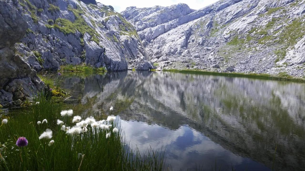 Pension Vocario Pfarrwerfen Esterno foto